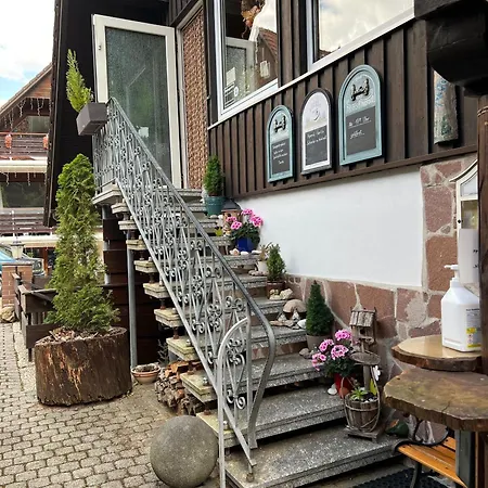 Lejlighed Gemuetliche-ferienwohnung-nr-4-im-harz-fuer-2-personen *