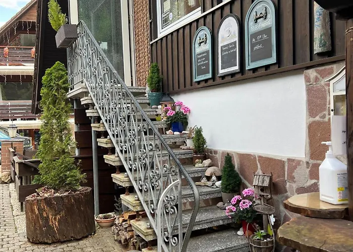 Apartament Gemuetliche-ferienwohnung-nr-4-im-harz-fuer-2-personen *