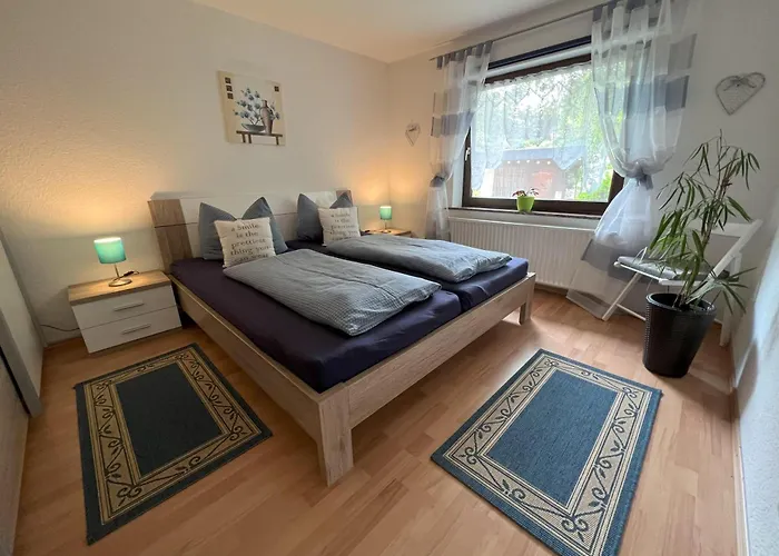Apartament Gemuetliche-ferienwohnung-nr-4-im-harz-fuer-2-personen *